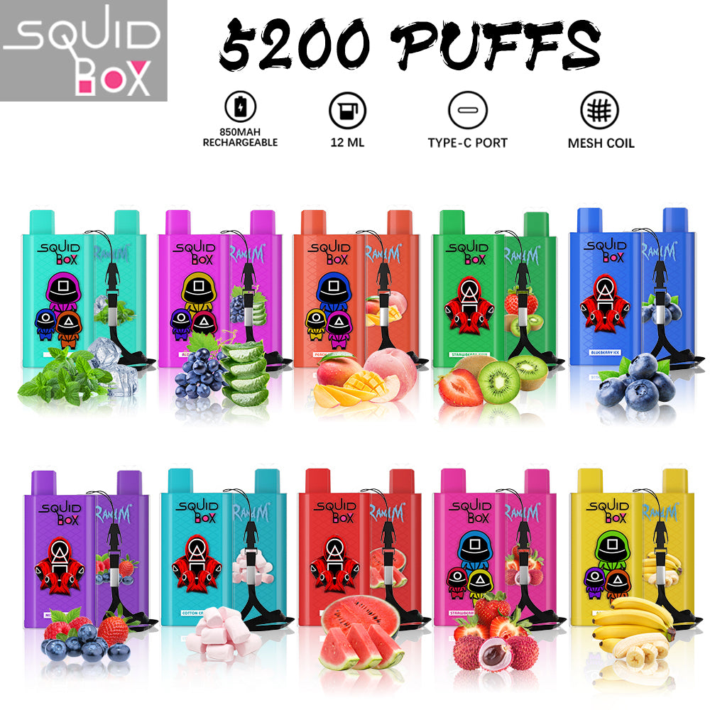 Original RandM Squid Box 5200 Puffs Vape Kit Device – Original RandM  Disposable Vape Electronic Cigarette Online Store